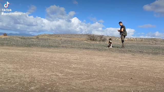 King of Kalliston Hellas 
             Marked & Blind Retrieves  Ο σκύλος θ...